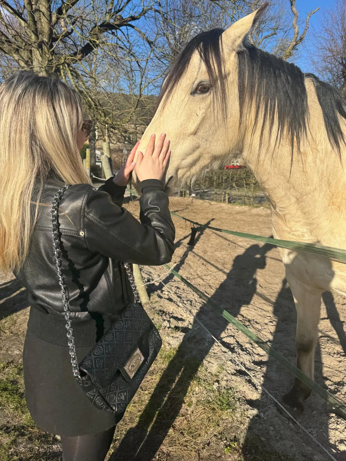 Miljana in Germany after establishing her professional and everyday life there
